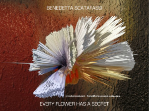 COVER CATALOGO EVERY FLOWER HAS A SECRET